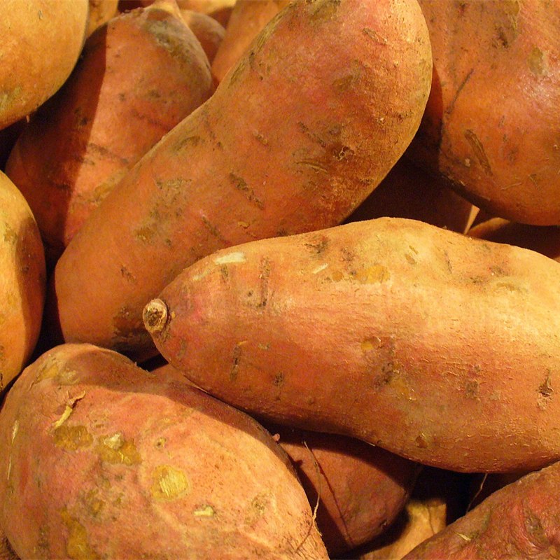 Tatlı Patates
