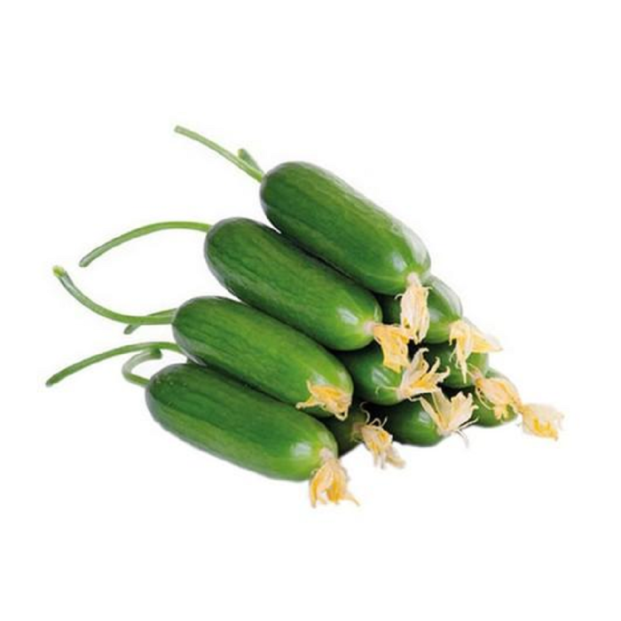Çengel Salatalık