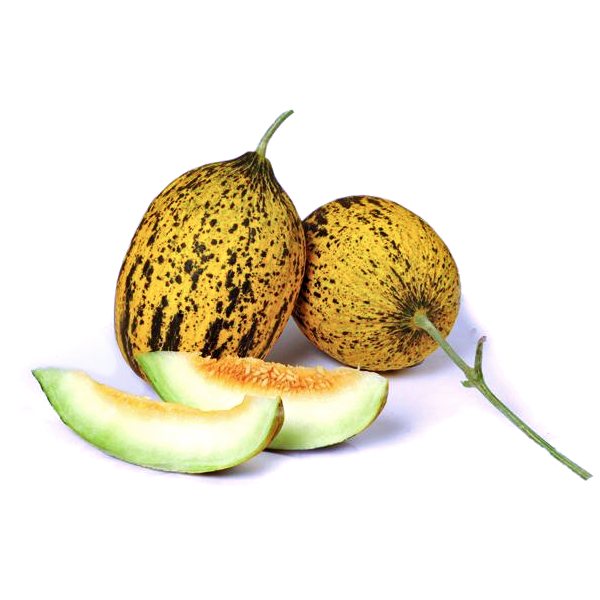 Kavun Kırkağaç