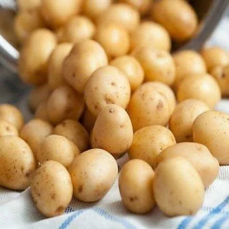 Baby Patates