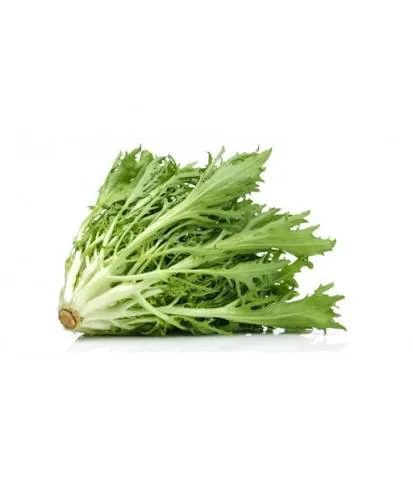 endivyen